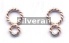 Rose Gold Vermeil Silver Link
