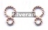 Rose Gold Vermeil Silver Link