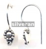 Silver Earwire